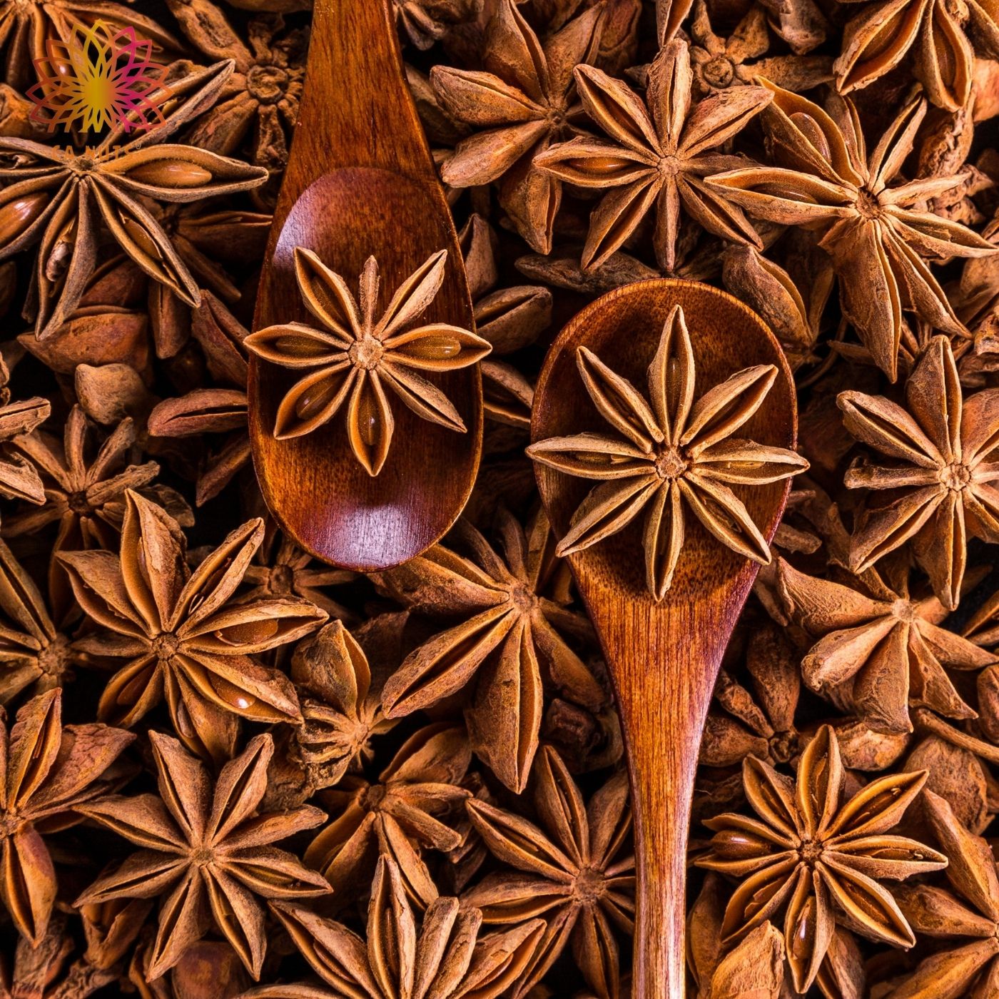 Premium Star Anise | Ca.Nuts