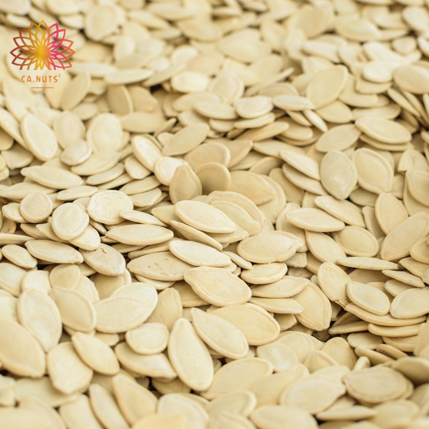 Raw Pumpkin Seeds with Shell