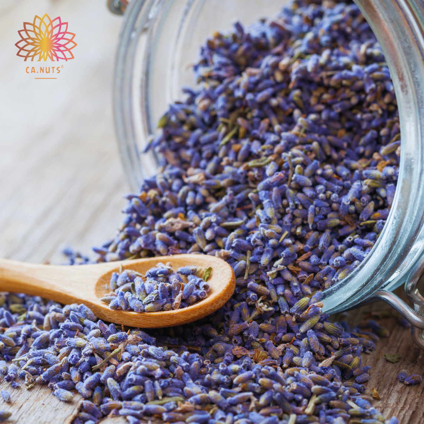 Alfazema Azul Premium Ca.Nuts (Lavanda)