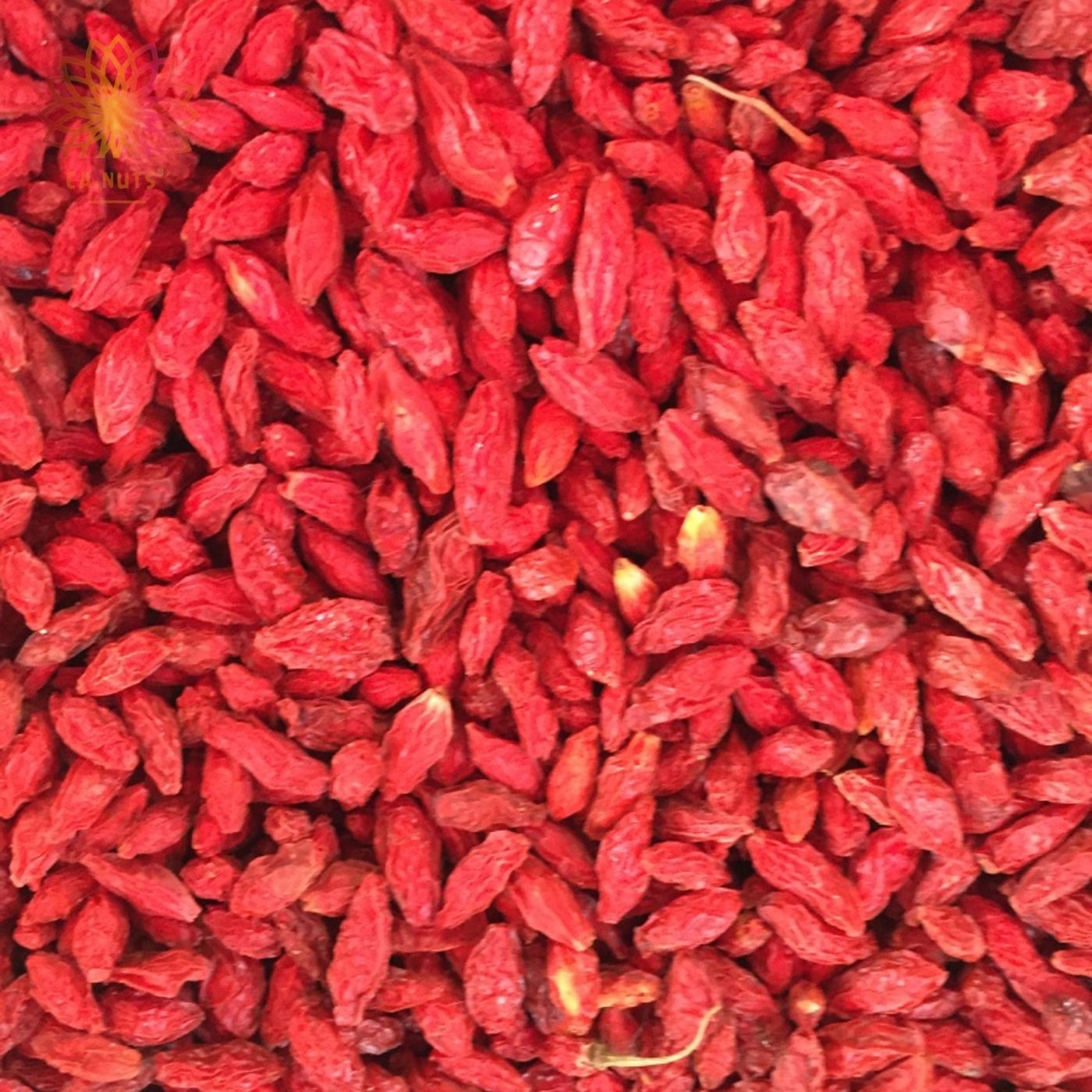 Goji berry desidratado Importado - Premium e rico em vitaminas