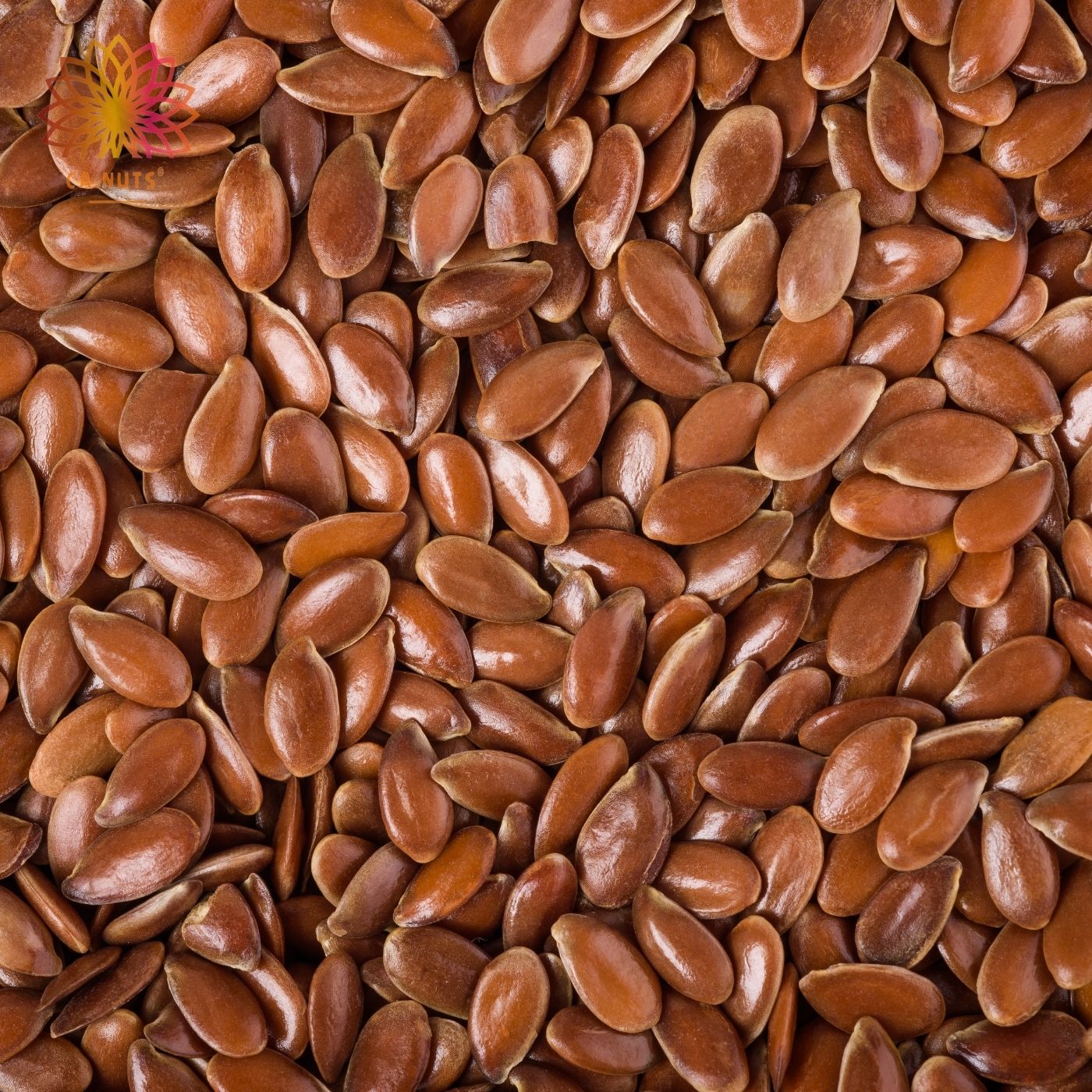 Brown Flaxseed | Ca.Nuts Premium