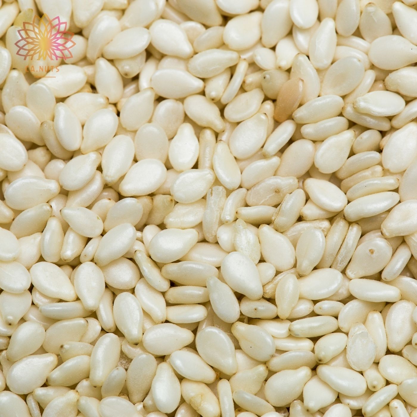 Premium hulled white sesame seeds 