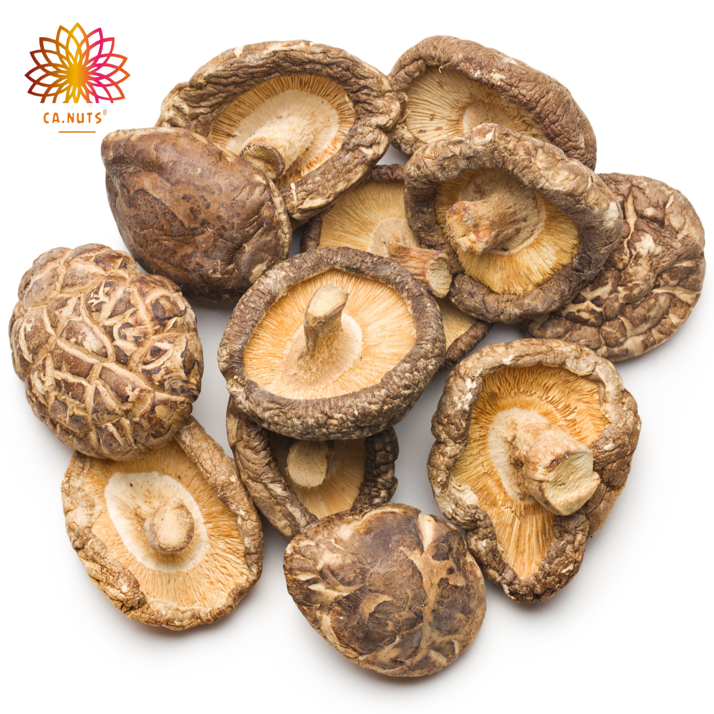 Funghi Seco Premium Ca.Nuts | Linha Especial de Especiarias Ca.Nuts