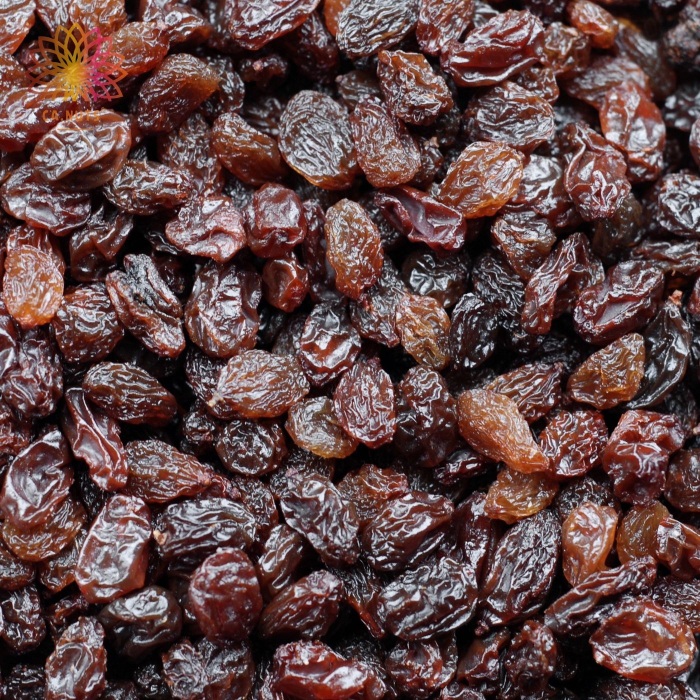 Premium seedless black raisins