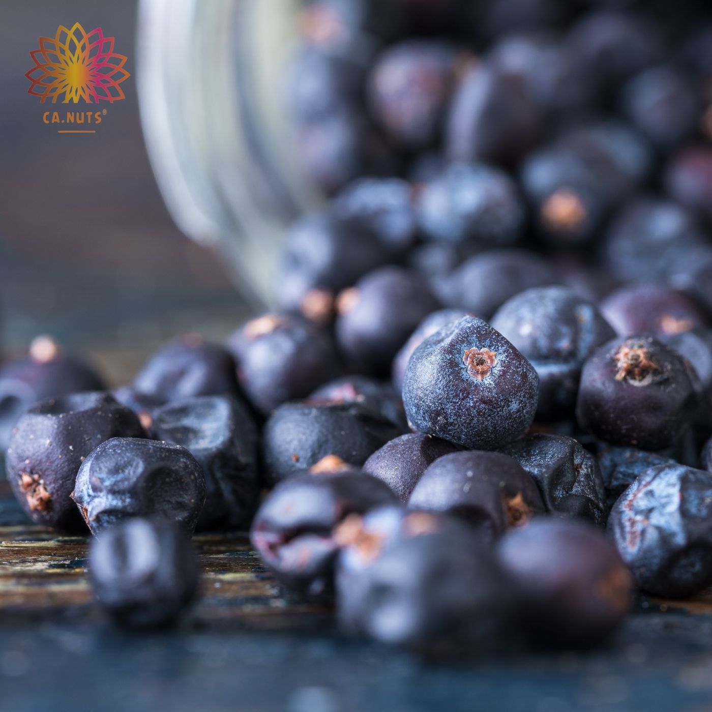 Premium Imported Juniper Berries | Ca.Nuts Spices