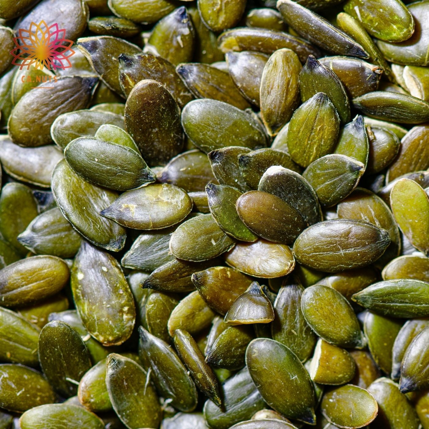 ROASTED PUMPKIN SEEDS WITHOUT SALT AND WITHOUT SHELL