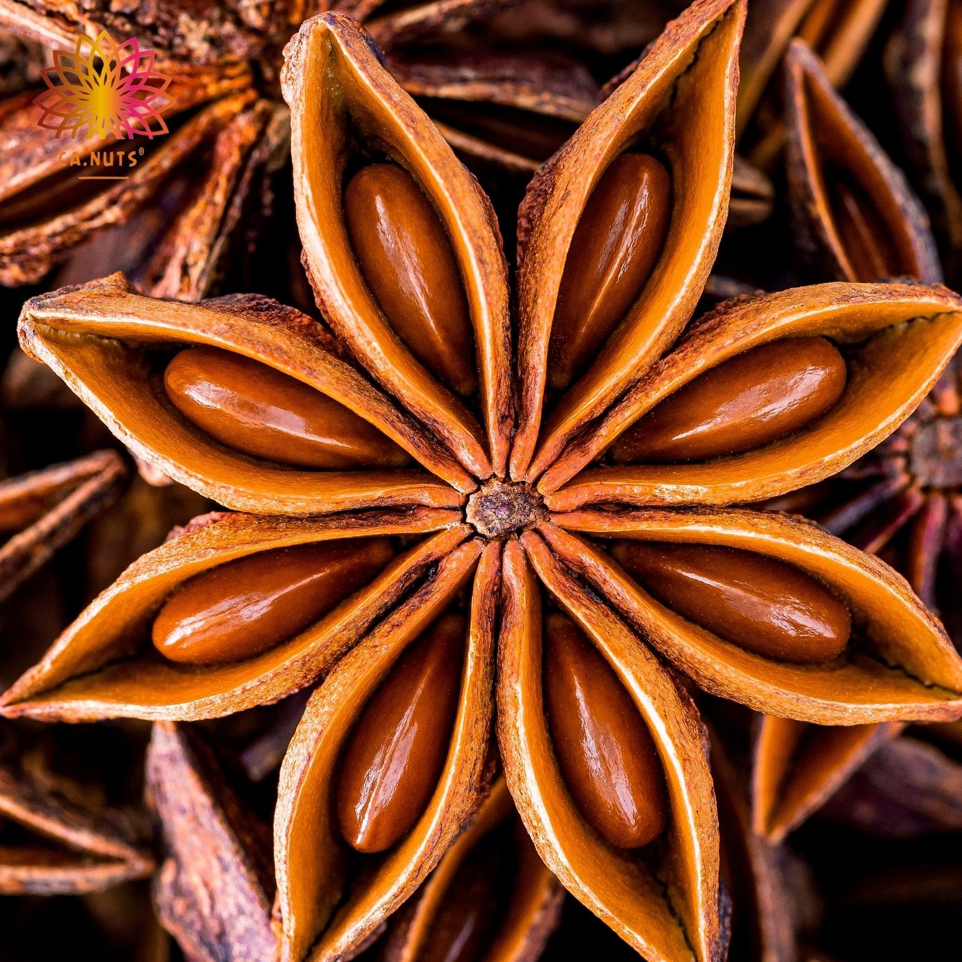 Premium Star Anise | Ca.Nuts