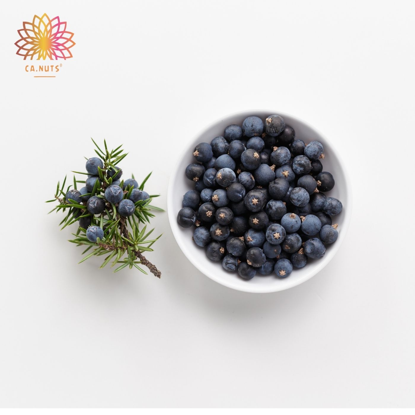 Premium Imported Juniper Berries | Ca.Nuts Spices