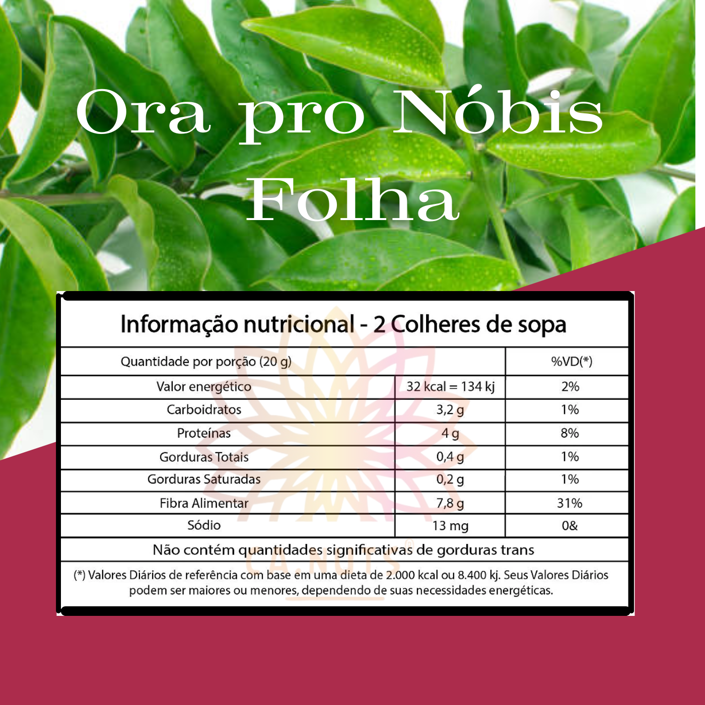 Ora Pro Nobis Folha Premium Ca.Nuts